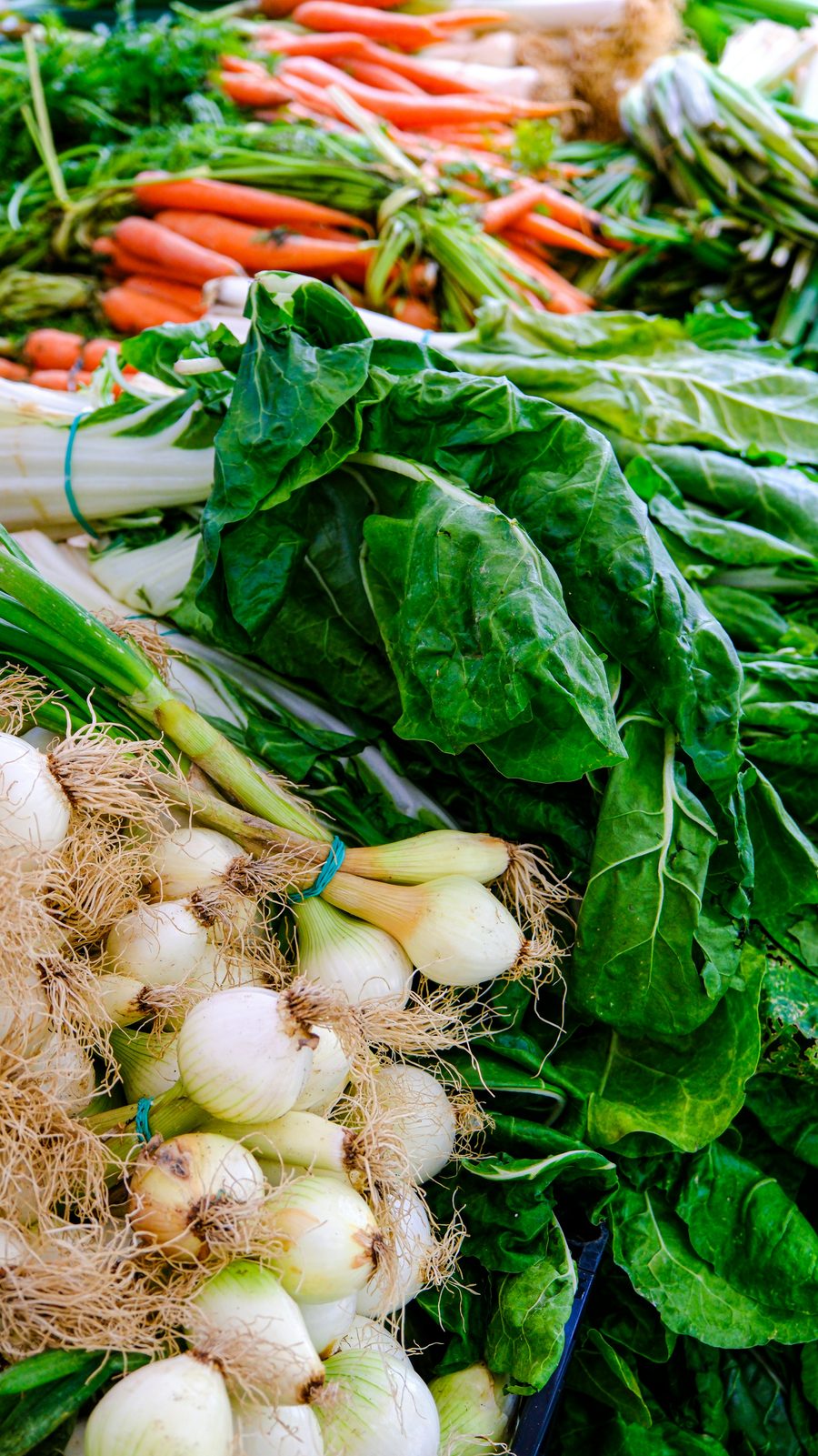 色鮮やかな市場の野菜 — 給食発注機能で扱う食材のイメージ